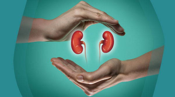 What’s Good For Kidney Health? 10 Diet & Lifestyle Tips